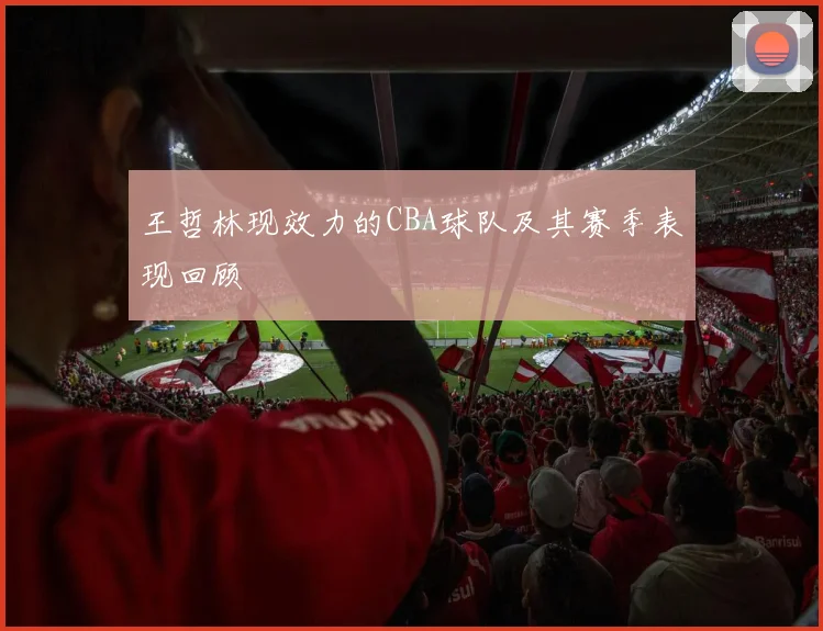 王哲林现效力的CBA球队及其赛季表现回顾