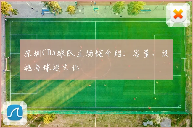深圳CBA球队主场馆介绍:容量、设施与球迷文化