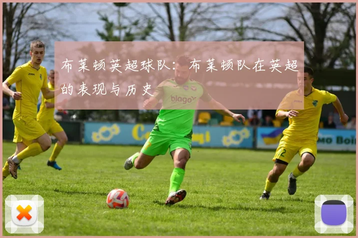 布莱顿英超球队：布莱顿队在英超的表现与历史