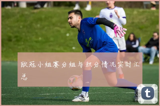 欧冠小组赛分组与积分情况实时汇总