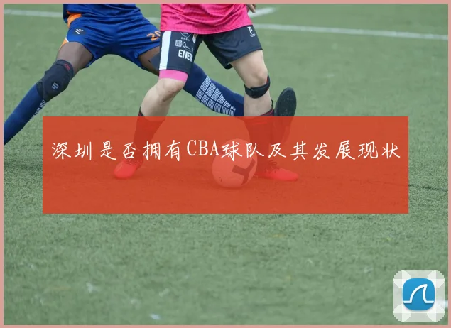 深圳是否拥有CBA球队及其发展现状